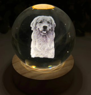 Custom Pet Orb