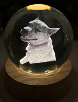 Custom Pet Orb